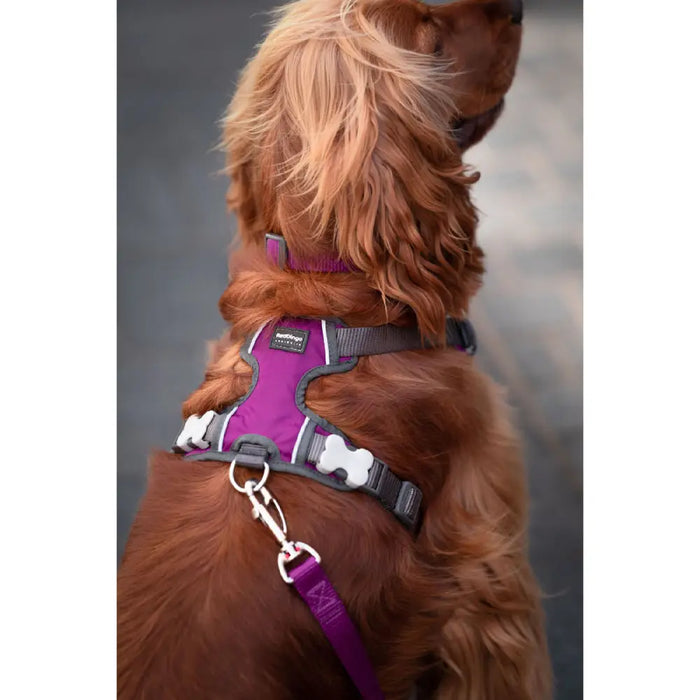 Dog Harness Red Dingo Dingo 62-108 cm 72-112 cm Purple XL - Домашни Животни<<<Дом Градина<<<BigBuy&&&Пътуване и