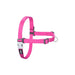 Dog Harness Red Dingo 84-119 cm Fuchsia XL - Домашни Животни<<<Дом Градина<<<BigBuy&&&Пътуване и разходки<<<Домашни