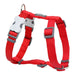 Dog Harness Red Dingo Smooth 37-61 cm Red - Домашни Животни<<<Дом Градина<<<BigBuy&&&Пътуване и разходки<<<Домашни