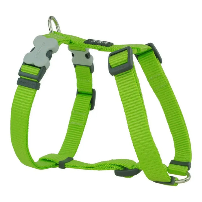 Dog Harness Red Dingo Smooth 37-61 cm Lime - Домашни Животни<<<Дом Градина<<<BigBuy&&&Пътуване и разходки<<<Домашни