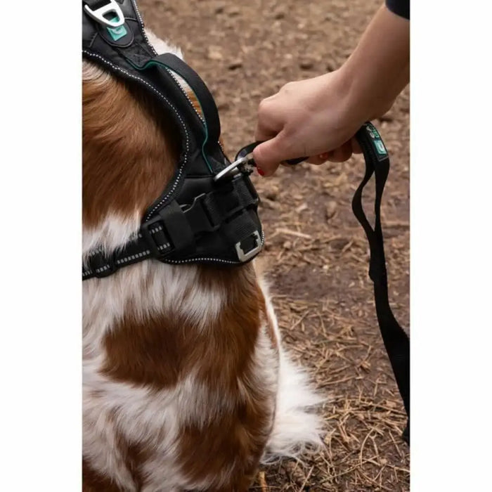 Dog Harness SYMBIOZ Black XS - Домашни Животни<<<Дом Градина<<<BigBuy&&&Пътуване и разходки<<<Домашни Животни<<<Дом