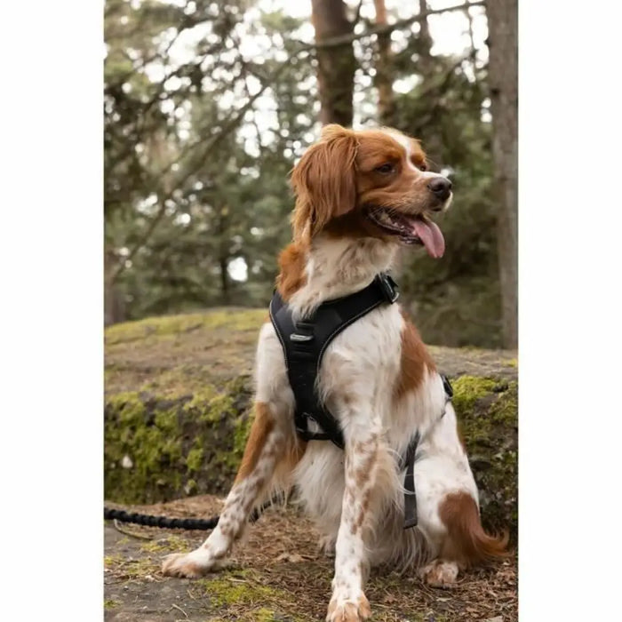 Dog Harness SYMBIOZ Black XXS - Домашни Животни<<<Дом Градина<<<BigBuy&&&Пътуване и разходки<<<Домашни Животни<<<Дом