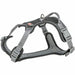 Dog Harness Trixie Active Premium Black M/L - Пътуване и разходки<<<Домашни Животни<<<Дом Градина<<<BigBuy