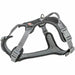 Dog Harness Trixie Active Premium Black S/M - Домашни Животни<<<Дом Градина<<<BigBuy&&&Пътуване и разходки<<<Домашни
