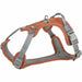 Dog Harness Trixie Active Premium Orange S/M - Домашни Животни<<<Дом Градина<<<BigBuy&&&Пътуване и разходки<<<Домашни