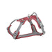 Dog Harness Trixie Active Premium Red S/M - Домашни Животни<<<Дом Градина<<<BigBuy&&&Пътуване и разходки<<<Домашни