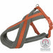 Dog Harness Trixie Confort Premium Orange S/M - Домашни Животни<<<Дом Градина<<<BigBuy&&&Пътуване и разходки<<<Домашни