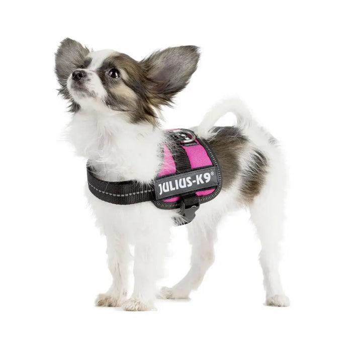 Dog Harness Trixie Fuchsia 1 Baby 1 (XS) 26-36 cm - Домашни Животни<<<Дом Градина<<<BigBuy&&&Пътуване и
