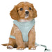 Dog Harness Trixie Junior Mint M/L - Домашни Животни<<<Дом Градина<<<BigBuy&&&Пътуване и разходки<<<Домашни