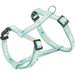 Dog Harness Trixie Junior Mint M/L - Домашни Животни<<<Дом Градина<<<BigBuy&&&Пътуване и разходки<<<Домашни