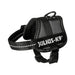 Dog Harness Trixie Power Anthracite 1 Baby 1 (XS) - Домашни Животни<<<Дом Градина<<<BigBuy&&&Пътуване и