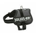 Dog Harness Trixie Power Anthracite 1 Baby 1 (XS) - Домашни Животни<<<Дом Градина<<<BigBuy&&&Пътуване и