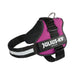 Dog Harness Trixie Power Fuchsia L/XL 2 - Домашни Животни<<<Дом Градина<<<BigBuy&&&Пътуване и разходки<<<Домашни