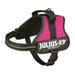 Dog Harness Trixie Power Fuchsia S - Домашни Животни<<<Дом Градина<<<BigBuy&&&Пътуване и разходки<<<Домашни