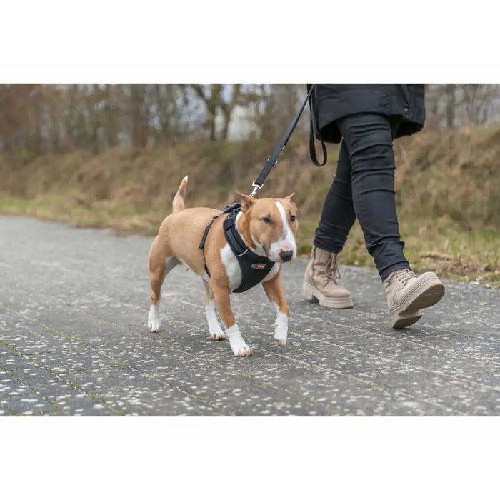 Dog Harness Trixie Premium FlexMesh Black M - Домашни Животни<<<Дом Градина<<<BigBuy&&&Пътуване и разходки<<<Домашни