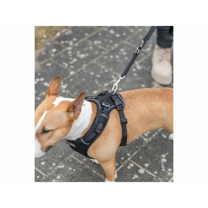Dog Harness Trixie Premium FlexMesh Black XS/S - Домашни Животни<<<Дом Градина<<<BigBuy&&&Пътуване и разходки<<<Домашни