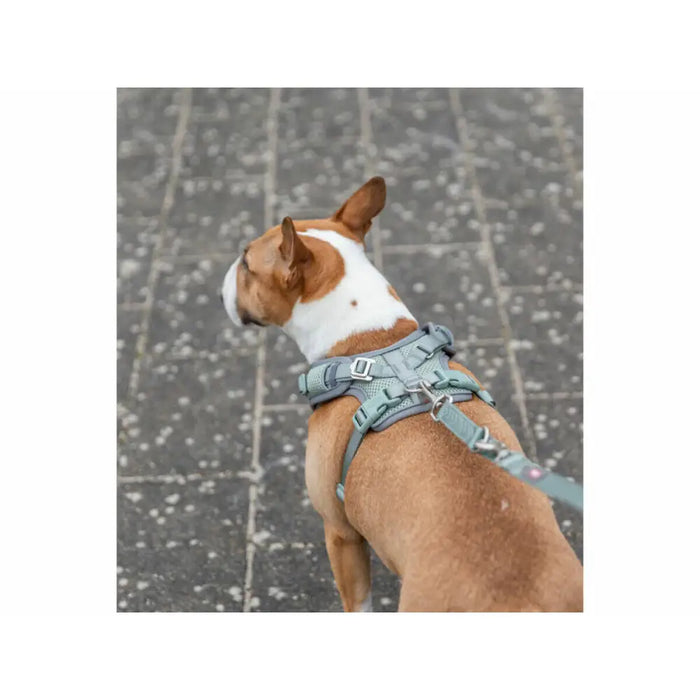 Dog Harness Trixie Premium FlexMesh M - Домашни Животни<<<Дом Градина<<<BigBuy&&&Пътуване и разходки<<<Домашни