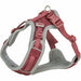 Dog Harness Trixie Premium FlexMesh S-M - Домашни Животни<<<Дом Градина<<<BigBuy&&&Пътуване и разходки<<<Домашни