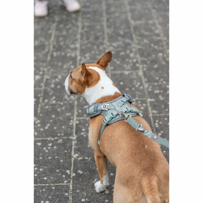 Dog Harness Trixie Premium FlexMesh S-M - Домашни Животни<<<Дом Градина<<<BigBuy&&&Пътуване и разходки<<<Домашни
