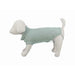 Dog Jumper Trixie Berlín Green S - Домашни Животни<<<Дом Градина<<<BigBuy&&&Здраве и хигиена<<<Домашни Животни<<<Дом