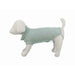Dog Jumper Trixie Berlín Green XS - Домашни Животни<<<Дом Градина<<<BigBuy&&&Здраве и хигиена<<<Домашни Животни<<<Дом