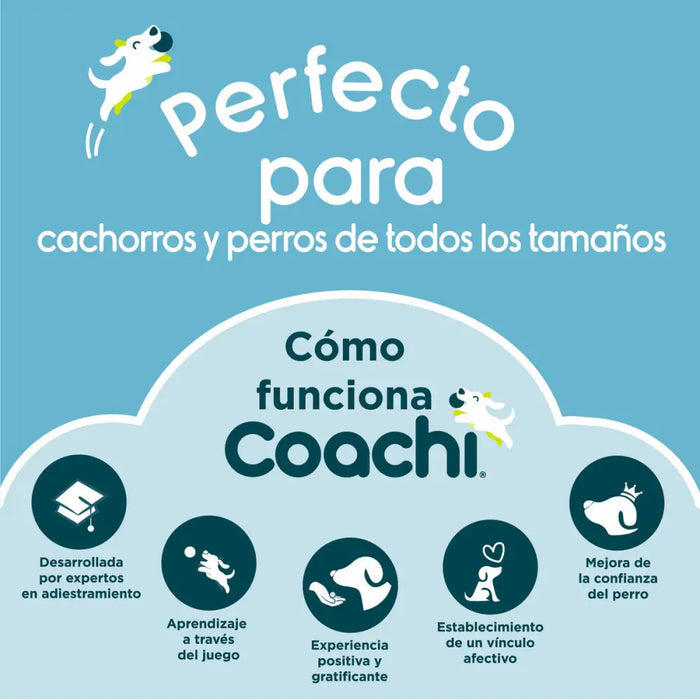 Dog Lead Coachi Blue 2,5 m Training - Домашни Животни<<<Дом Градина<<<BigBuy&&&Пътуване и разходки<<<Домашни