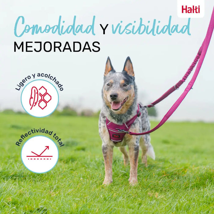 Dog Lead Company of Animals Grey L - Домашни Животни<<<Дом Градина<<<BigBuy&&&Пътуване и разходки<<<Домашни