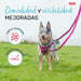Dog Lead Company of Animals Grey S - Домашни Животни<<<Дом Градина<<<BigBuy&&&Пътуване и разходки<<<Домашни