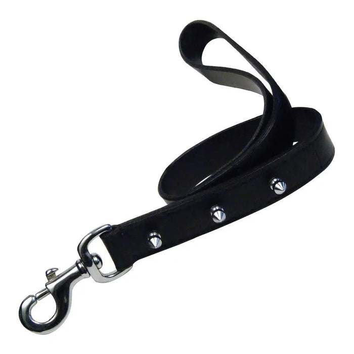 Dog Lead Gloria Black 60 cm - Домашни Животни<<<Дом Градина<<<BigBuy&&&Пътуване и разходки<<<Домашни Животни<<<Дом