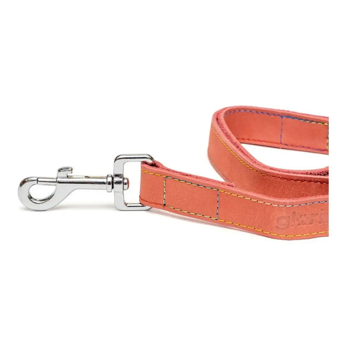 Dog Lead Gloria Oasis 3 x 60 cm Pink - Домашни Животни<<<Дом Градина<<<BigBuy&&&Пътуване и разходки<<<Домашни