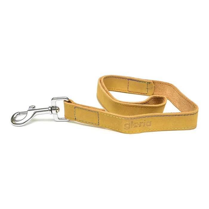 Dog Lead Gloria Oasis 3 x 60 cm Yellow - Домашни Животни<<<Дом Градина<<<BigBuy&&&Пътуване и разходки<<<Домашни