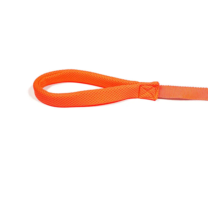 Dog Lead Gloria Orange S - Домашни Животни<<<Дом Градина<<<BigBuy&&&Пътуване и разходки<<<Домашни Животни<<<Дом