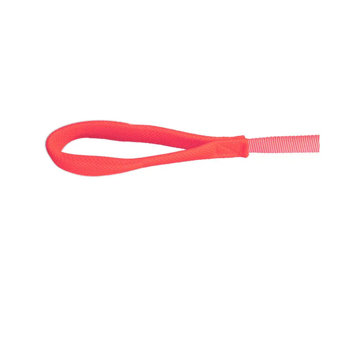 Dog Lead Gloria Pink S - Домашни Животни<<<Дом Градина<<<BigBuy&&&Пътуване и разходки<<<Домашни Животни<<<Дом