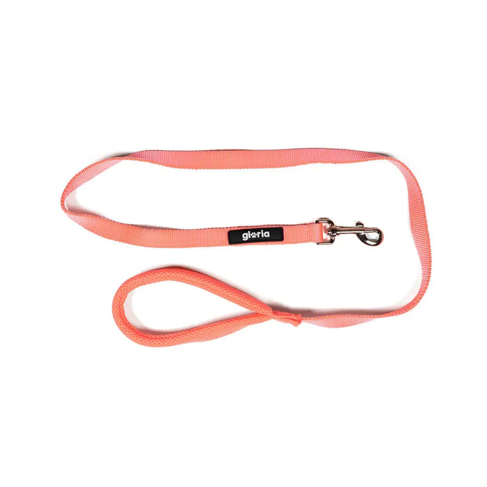 Dog Lead Gloria Pink S - Домашни Животни<<<Дом Градина<<<BigBuy&&&Пътуване и разходки<<<Домашни Животни<<<Дом