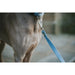 Dog Lead Hunter Blue 100 cm - Домашни Животни<<<Дом Градина<<<BigBuy&&&Пътуване и разходки<<<Домашни Животни<<<Дом