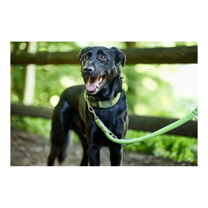 Dog Lead Hunter HILO Lime (200 cm) - Домашни Животни<<<Дом Градина<<<BigBuy&&&Пътуване и разходки<<<Домашни