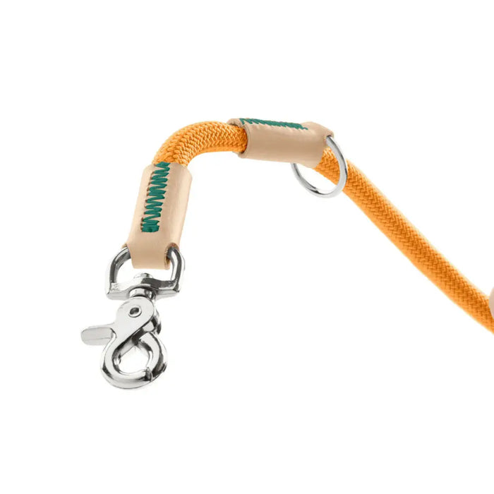Dog Lead Hunter MALIA Orange 1 x 200 cm - Домашни Животни<<<Дом Градина<<<BigBuy&&&Пътуване и разходки<<<Домашни