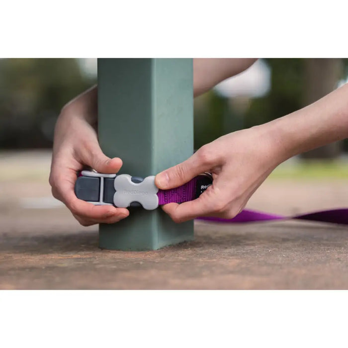 Dog Lead Red Dingo Brown - Домашни Животни<<<Дом Градина<<<BigBuy&&&Пътуване и разходки<<<Домашни Животни<<<Дом