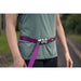 Dog Lead Red Dingo Brown - Домашни Животни<<<Дом Градина<<<BigBuy&&&Пътуване и разходки<<<Домашни Животни<<<Дом