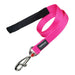Dog Lead Red Dingo Fuchsia (2.5 x 120 cm) - Домашни Животни<<<Дом Градина<<<BigBuy&&&Пътуване и разходки<<<Домашни