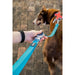 Dog Lead Red Dingo Turquoise - Домашни Животни<<<Дом Градина<<<BigBuy&&&Пътуване и разходки<<<Домашни Животни<<<Дом