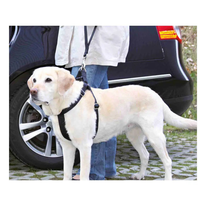 Dog Lead Trixie Friends on Tour Black 30 cm - Пътуване и разходки<<<Домашни Животни<<<Дом Градина<<<BigBuy