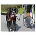 Dog Lead Trixie S/M Reflective Bicycle - Пътуване и разходки<<<Домашни Животни<<<Дом Градина<<<BigBuy
