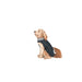 Dog raincoat Dog Gone Smart Black 40 cm - Домашни Животни<<<Дом Градина<<<BigBuy&&&Пътуване и разходки<<<Домашни