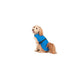 Dog raincoat Dog Gone Smart Blue 30 cm - Домашни Животни<<<Дом Градина<<<BigBuy&&&Пътуване и разходки<<<Домашни