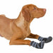 Dog shoes Kerbl Black XL - Домашни Животни<<<Дом Градина<<<BigBuy&&&Пътуване и разходки<<<Домашни Животни<<<Дом