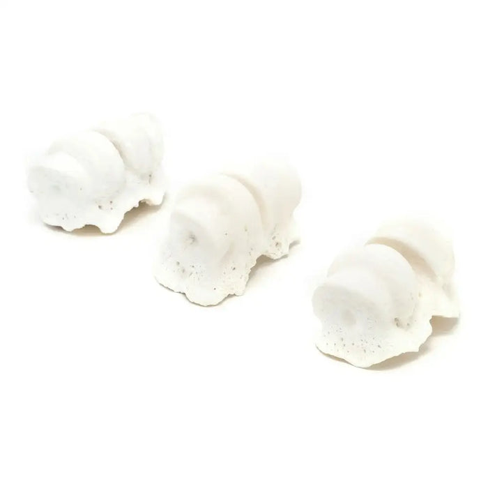 Dog Snack Gloria Veal Calcium Knuckles - Домашни Животни<<<Дом Градина<<<BigBuy&&&Хранене на домашни любимци<<<Домашни