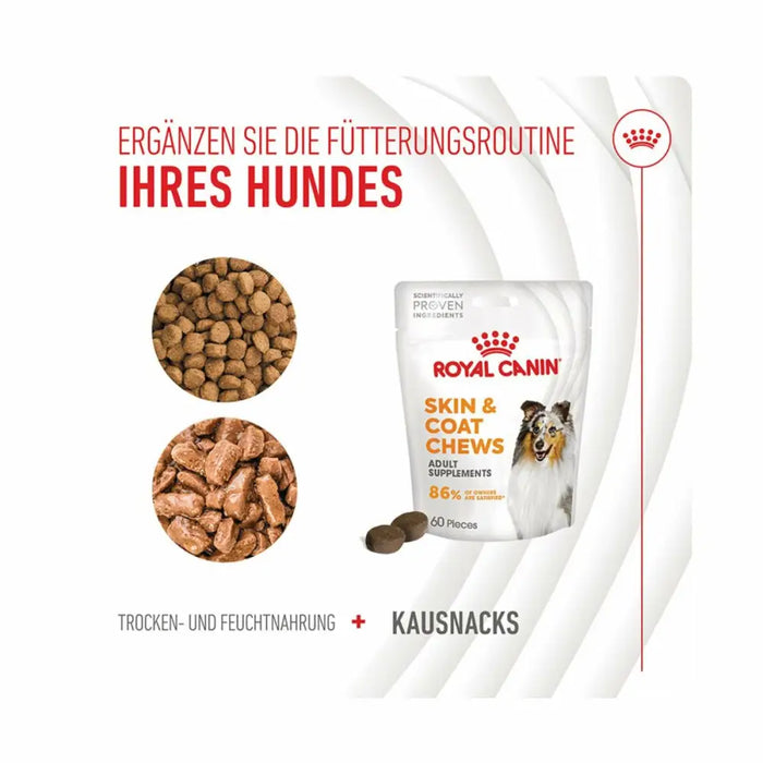 Dog Snack Royal Canin 240 g - Хранене на домашни любимци<<<Домашни Животни<<<Дом