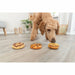 Dog Snack Trixie Chicken Duck Cod Donut 3 Pieces - Домашни Животни<<<Дом Градина<<<BigBuy&&&Хранене на домашни