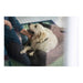 Dog Sofa Hunter Boston Brown (60 x 50 cm) - Домашни Животни<<<Дом Градина<<<BigBuy&&&Къщички и легълца<<<Домашни